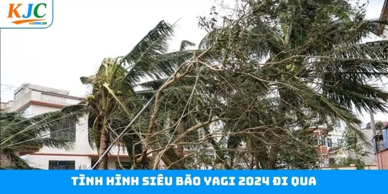 Các điều cần chú ý khi siêu bão Yagi 2024 hoành hành 